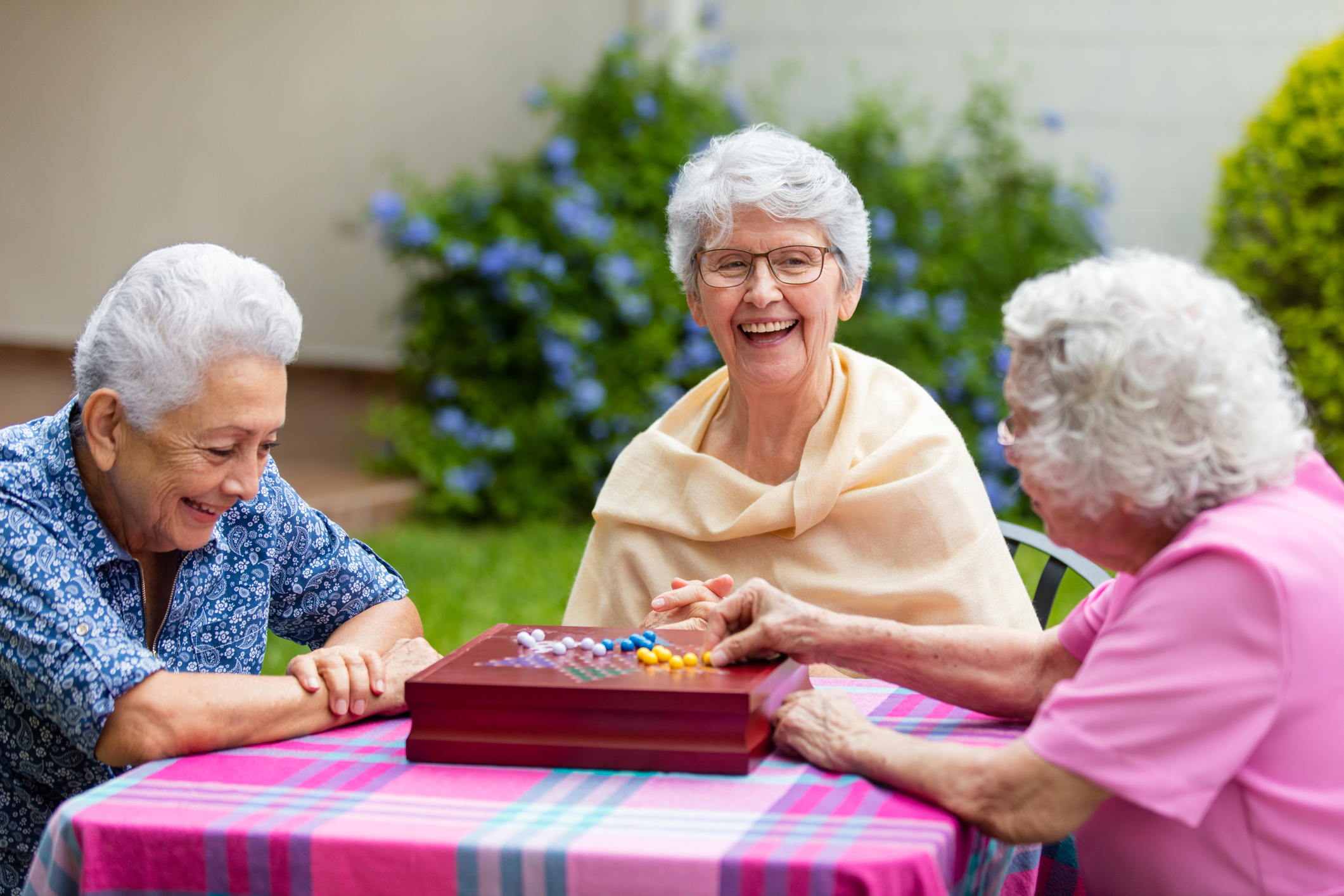 At Carmel Terrace we have a wide variety of clubs, social activities and events to keep our residents socially engaged.